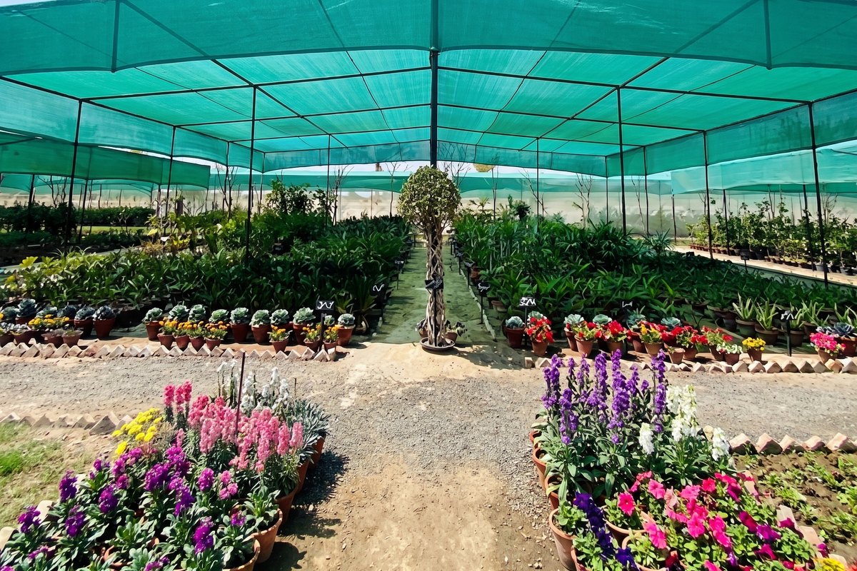 State of the Art Nursery